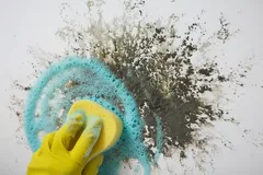 Limpieza de manchas difíciles en pared con esponja y guante amarillo, limpiar suciedad.
