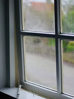 Ventana de vidrio con marco de madera blanca durante el día
