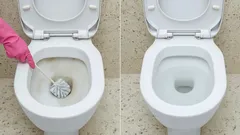 Inodoro brillante y libre de gérmenes: métodos naturales para desinfectar tu baño